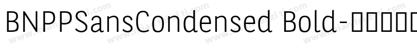 BNPPSansCondensed Bold字体转换